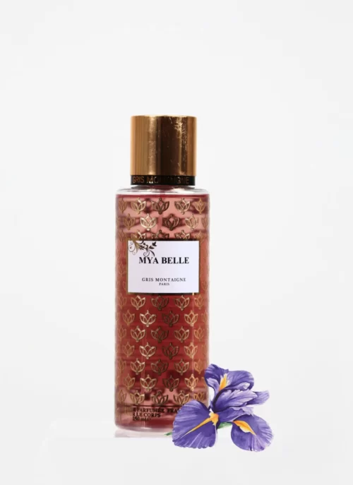 BRUME MYA BELLE - GRIS MONTAIGNE PARIS