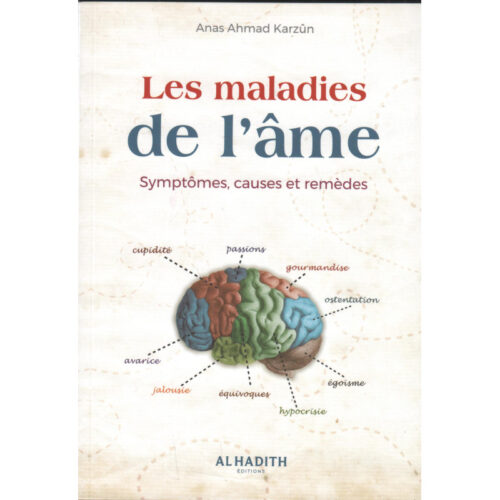 Les maladies de l'âme: Symptômes, causes et remèdes - Anas Ahmad Karzun